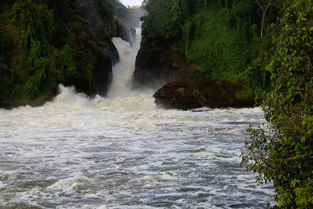 Island Wild Adventures Africa Murchison Falls National Park