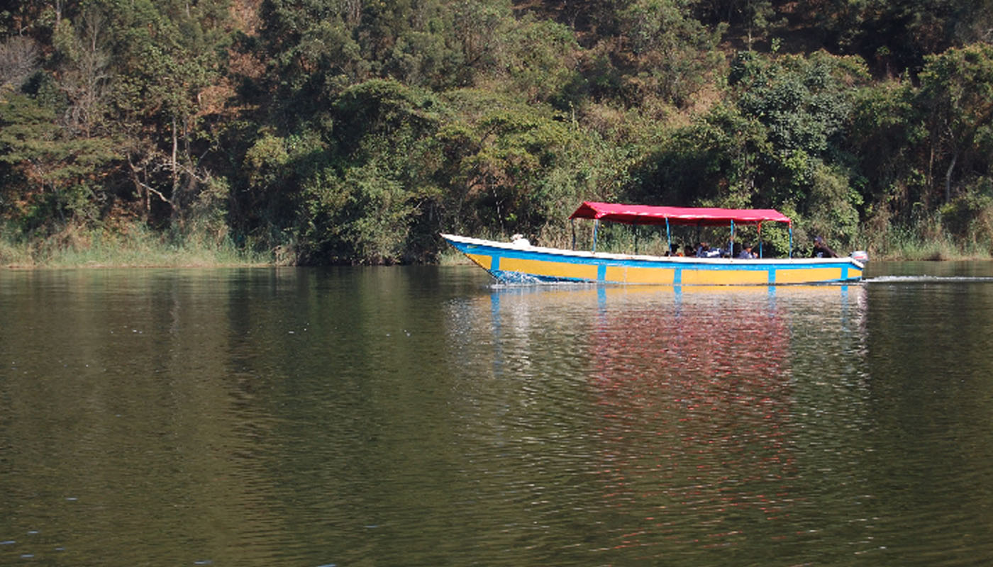 A 1 Day Ngamba Island Tour ($200)