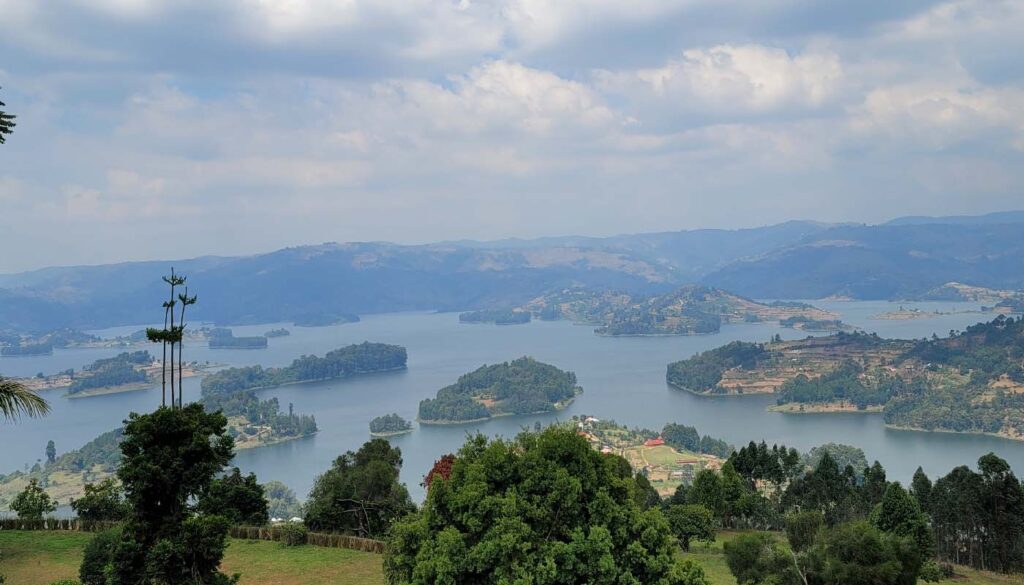 A 14 Days Memorable Adventure into the Depths in the Wild ($3500 Per Person)